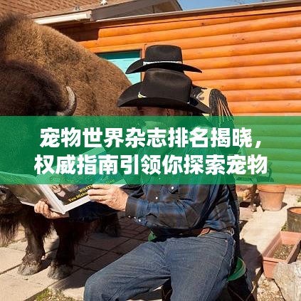 工程案例 第3页