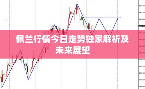 佩兰行情今日走势独家解析及未来展望