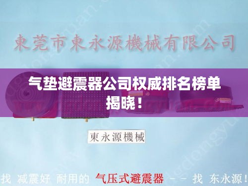 气垫避震器公司权威排名榜单揭晓！