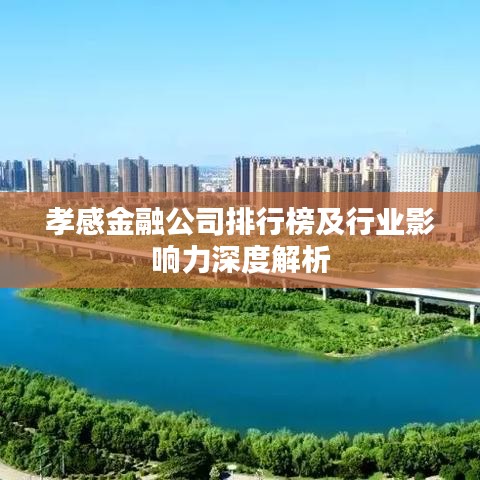 孝感金融公司排行榜及行业影响力深度解析