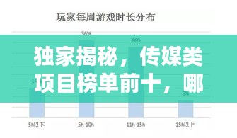 独家揭秘，传媒类项目榜单前十，哪些引领行业潮流？