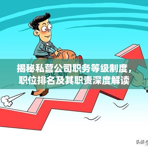 揭秘私营公司职务等级制度，职位排名及其职责深度解读