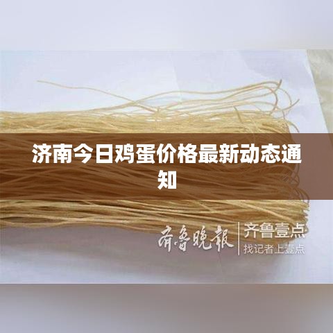 济南今日鸡蛋价格最新动态通知