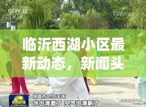临沂西湖小区最新动态，新闻头条抢先看