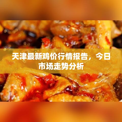 天津最新鸡价行情报告，今日市场走势分析