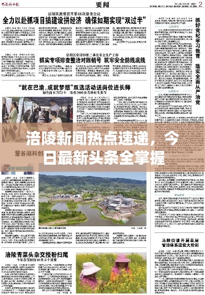 涪陵新闻热点速递，今日最新头条全掌握