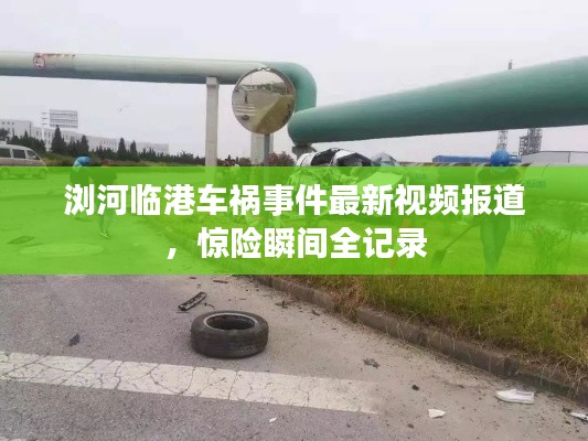 浏河临港车祸事件最新视频报道，惊险瞬间全记录