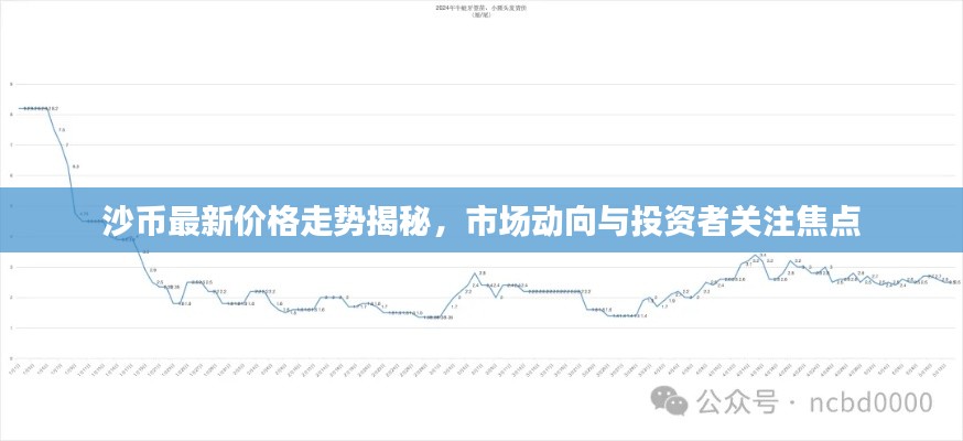 沙币最新价格走势揭秘，市场动向与投资者关注焦点