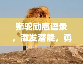 狮驼励志语录，激发潜能，勇攀高峰！