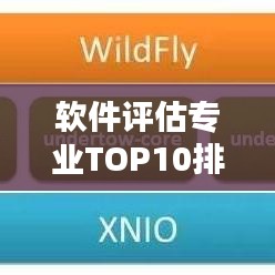 软件评估专业TOP10排名榜单揭晓！