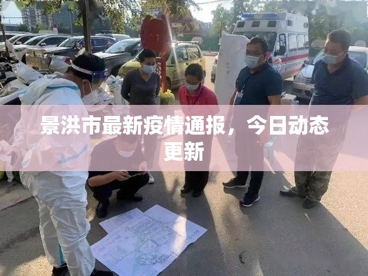 景洪市最新疫情通报，今日动态更新