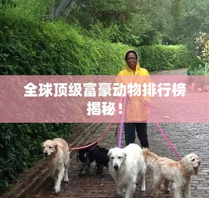 全球顶级富豪动物排行榜揭秘！