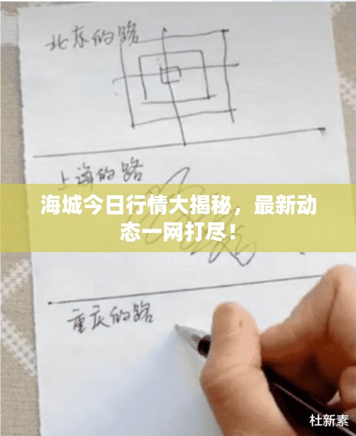 海城今日行情大揭秘，最新动态一网打尽！