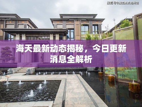 海天最新动态揭秘，今日更新消息全解析