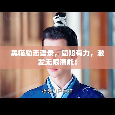 黑猫励志语录，简短有力，激发无限潜能！