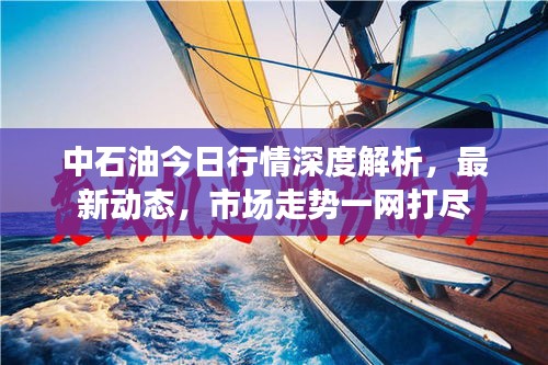 中石油今日行情深度解析，最新动态，市场走势一网打尽