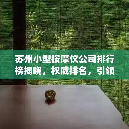 苏州小型按摩仪公司排行榜揭晓，权威排名，引领健康科技潮流
