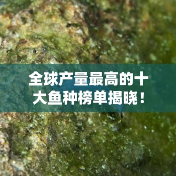 全球产量最高的十大鱼种榜单揭晓！