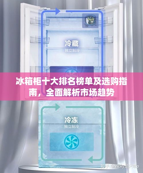 冰箱柜十大排名榜单及选购指南，全面解析市场趋势