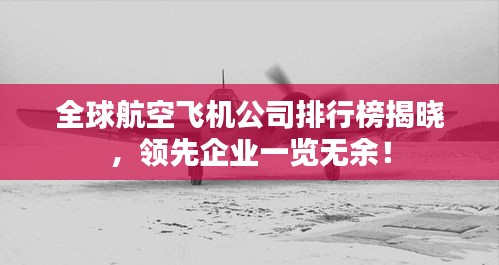 全球航空飞机公司排行榜揭晓，领先企业一览无余！