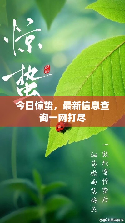 今日惊蛰，最新信息查询一网打尽