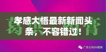 孝感大悟最新新闻头条，不容错过！