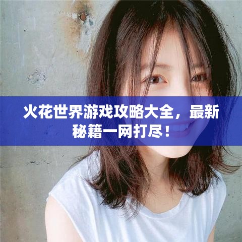 火花世界游戏攻略大全，最新秘籍一网打尽！