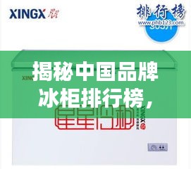 揭秘中国品牌冰柜排行榜，前十名榜单全解析！