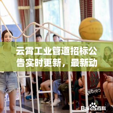 云霄工业管道招标公告实时更新，最新动态抢先看