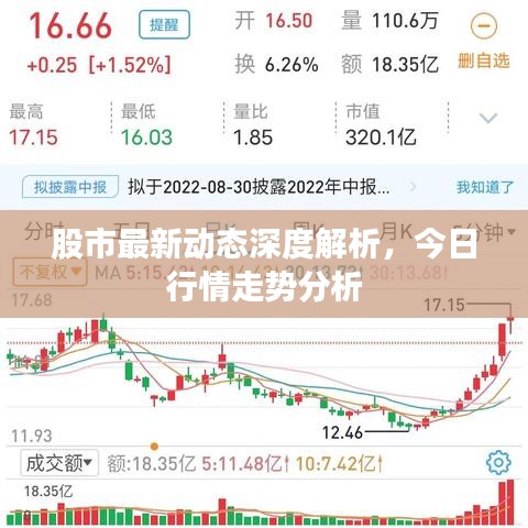 股市最新动态深度解析，今日行情走势分析