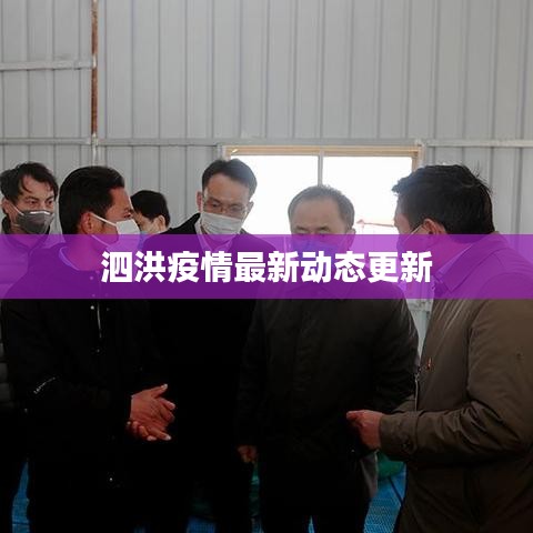 泗洪疫情最新动态更新