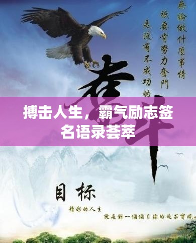 搏击人生，霸气励志签名语录荟萃