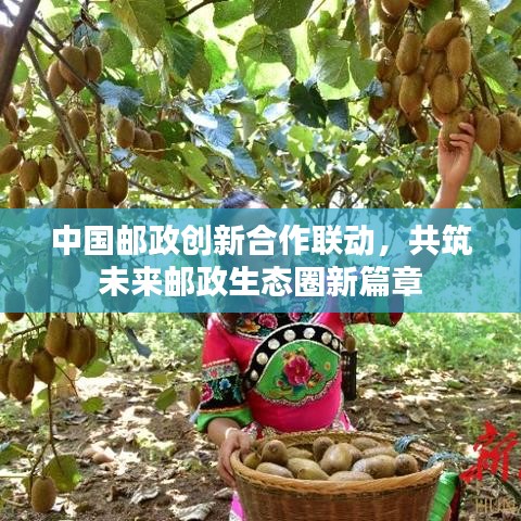 中国邮政创新合作联动，共筑未来邮政生态圈新篇章