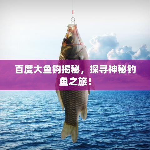 百度大鱼钩揭秘，探寻神秘钓鱼之旅！
