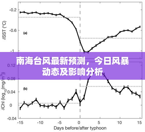 南海台风最新预测，今日风暴动态及影响分析