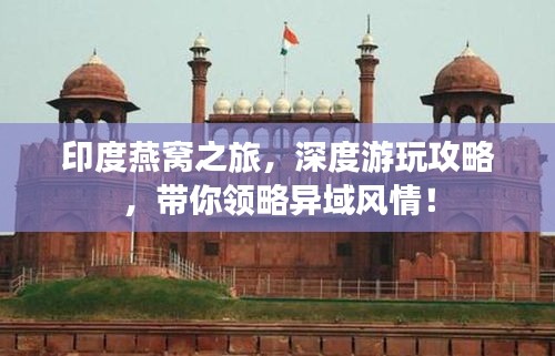 印度燕窝之旅，深度游玩攻略，带你领略异域风情！