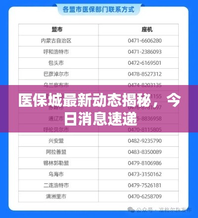 医保城最新动态揭秘，今日消息速递