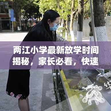 2025年5月20日