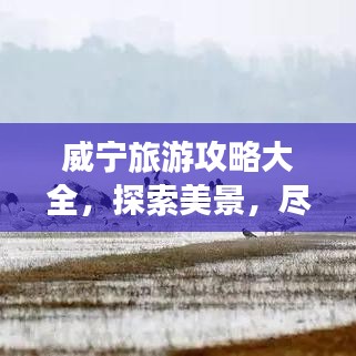 威宁旅游攻略大全，探索美景，尽享精彩之旅！