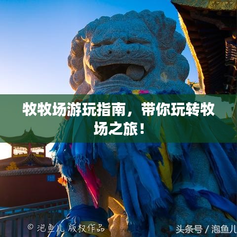 牧牧场游玩指南，带你玩转牧场之旅！
