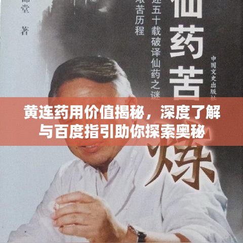 黄连药用价值揭秘，深度了解与百度指引助你探索奥秘