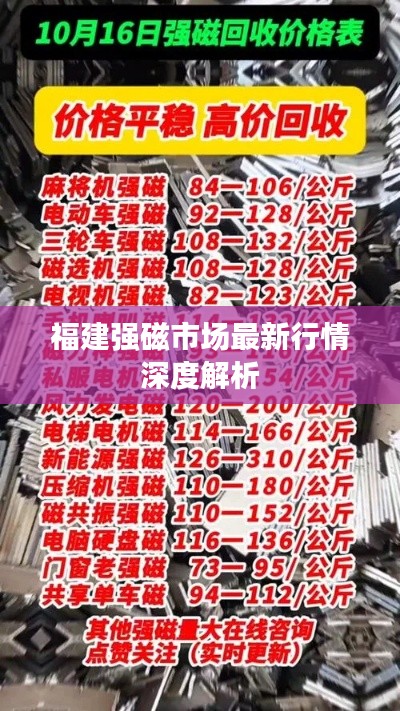福建强磁市场最新行情深度解析
