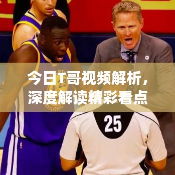 今日T哥视频解析，深度解读精彩看点