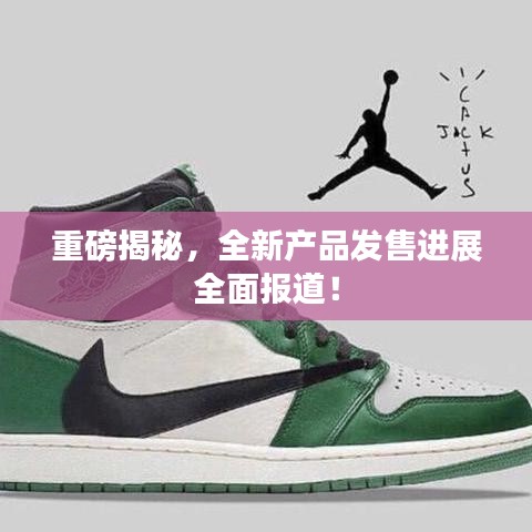 重磅揭秘，全新产品发售进展全面报道！
