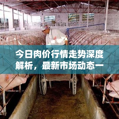 今日肉价行情走势深度解析，最新市场动态一网打尽