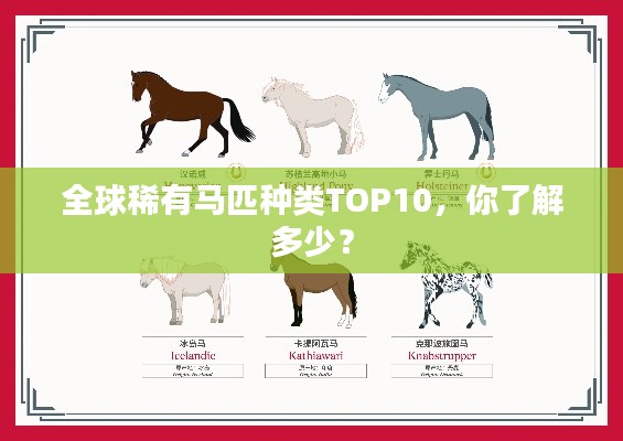 全球稀有马匹种类TOP10，你了解多少？