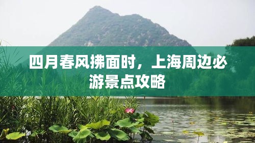 四月春风拂面时，上海周边必游景点攻略