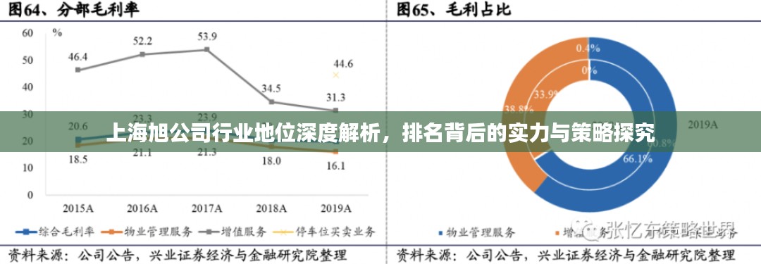 上海旭公司行业地位深度解析，排名背后的实力与策略探究