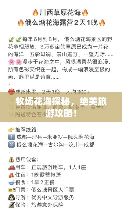 2025年5月 第4页