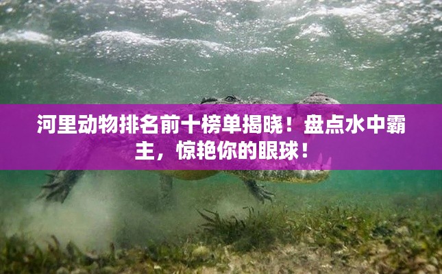河里动物排名前十榜单揭晓！盘点水中霸主，惊艳你的眼球！